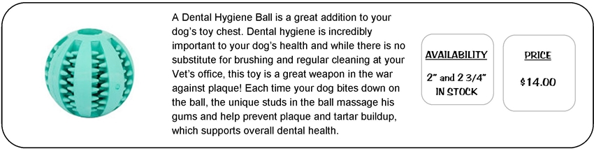 Dental Hygiene Ball